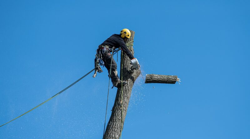 arborist